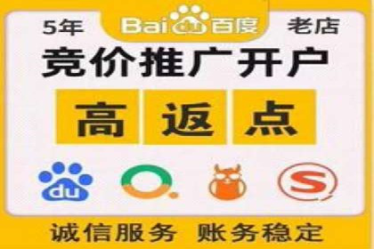 某行业SEM主管的优化策略与成果展示